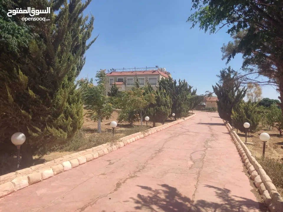 مادبا حواره مزرعه للبيع