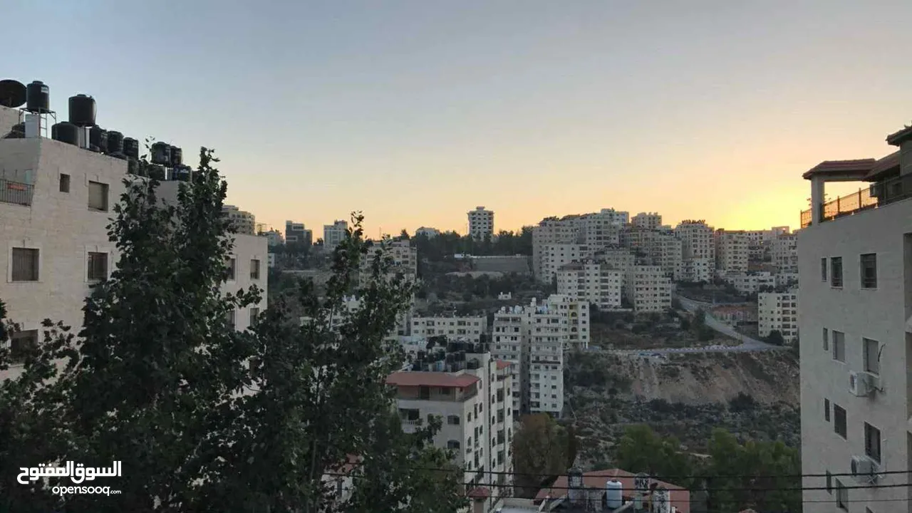 شقه للبيع في الطيره