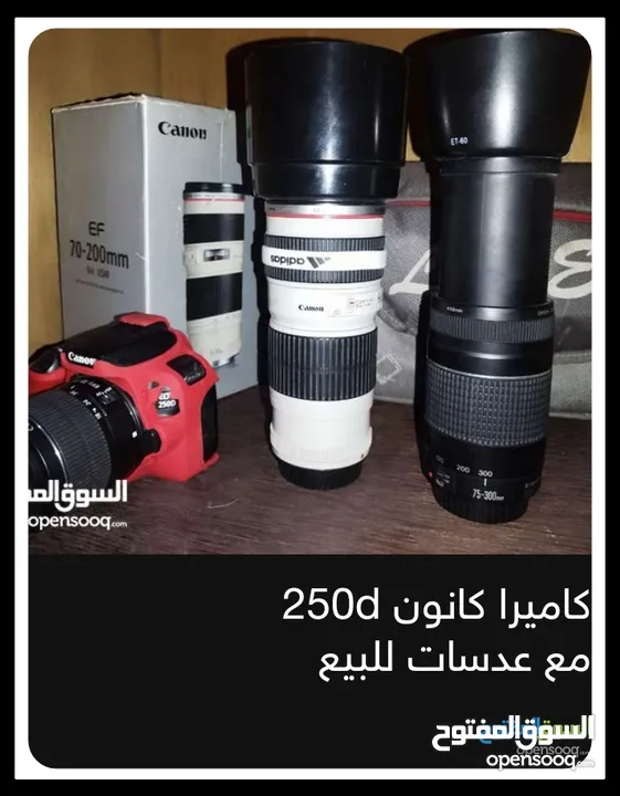 كاميرا كانون 250D مع عدسات 2 للبيع