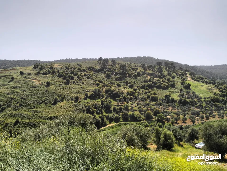 أرض مميزة جداً لعمل شاليه استثماري أو مزرعة خاصة أو مزرعة تجارية يوجد بها قناة ماء من المالك مباشرة