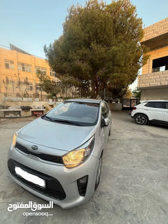 مورنينج بيكانتو 2020 نخب لسا بالنايلون ماشيه 40 كيلو فقط