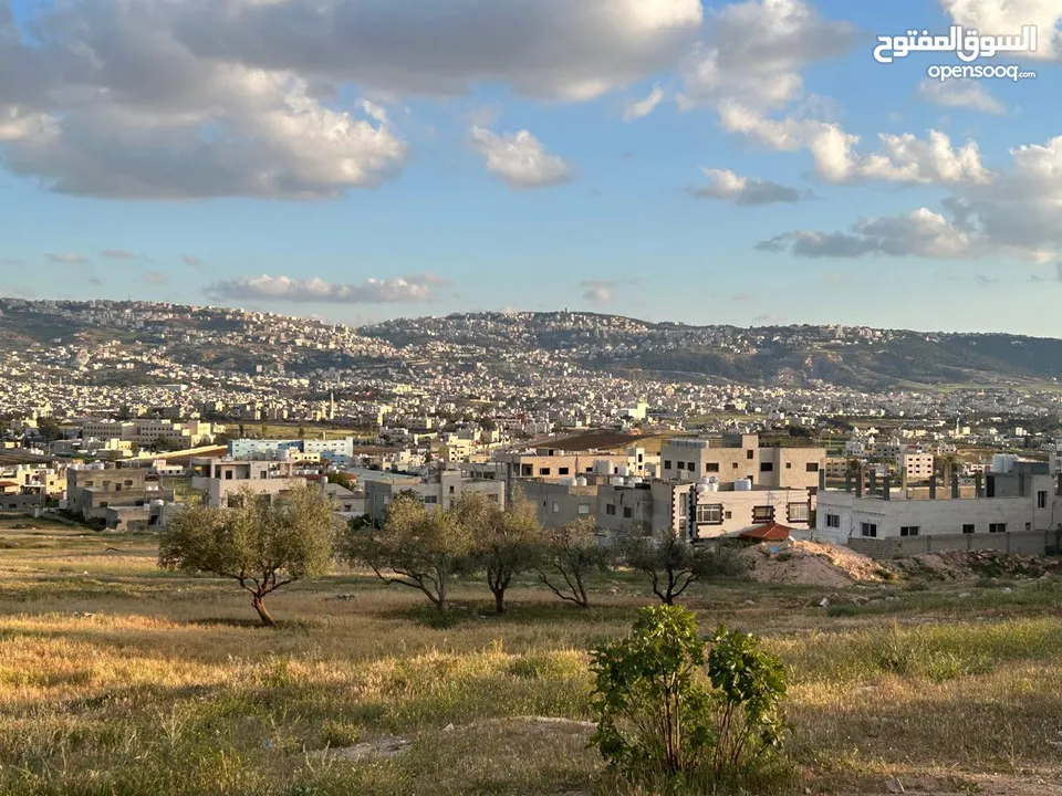 ام الدنانير حوض ابو زعروره 472م سكن ج شارع 12م مربعه واجهه 21م واجهه جنوبيه حي فلل هادئ مرتغعه