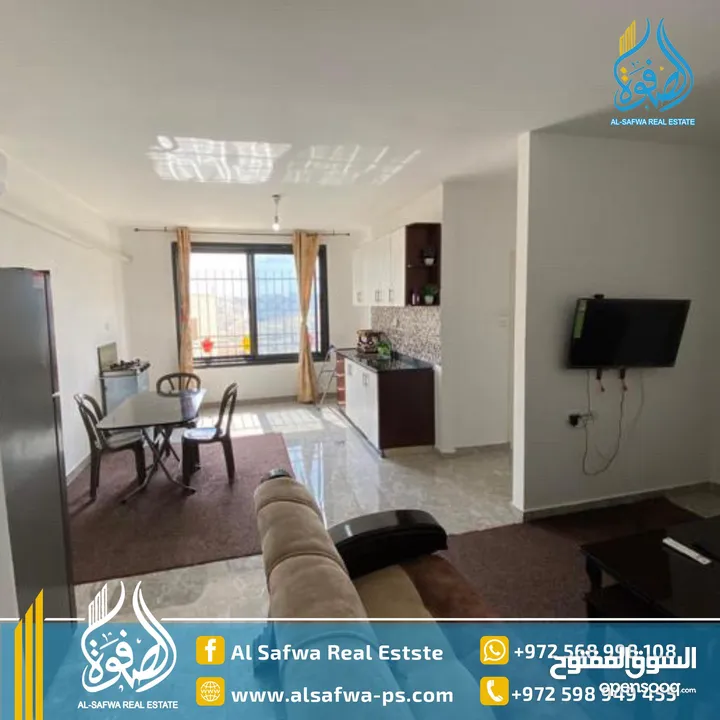 استديوهات مفروشه للايجار بتونيا