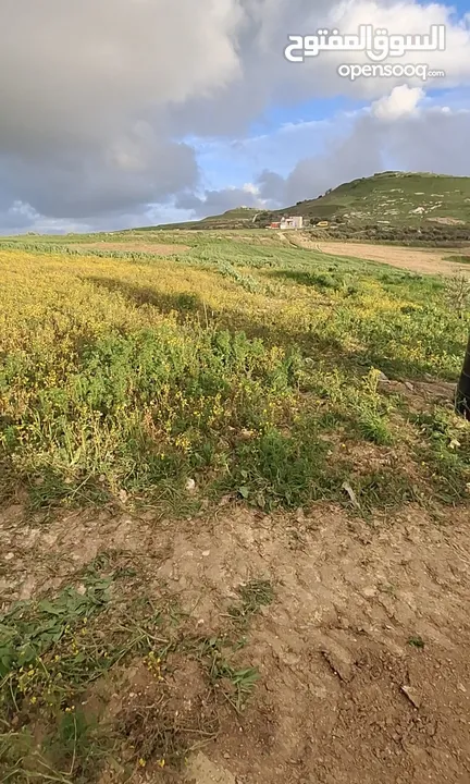 ارض للبيع اطلاله على الساحل الفلسطيني