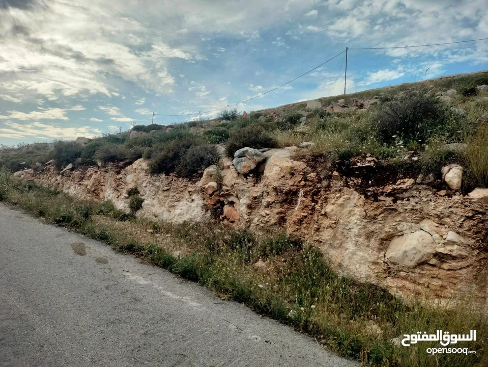 نمر بمساحات متعددة للبيع على شارع من المالك مباشرة..