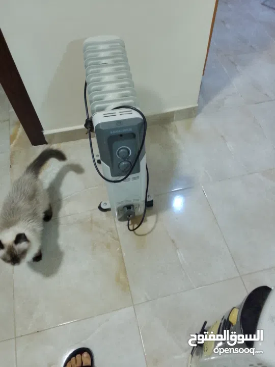 مدفاة هوائيه Oil redaitor heater