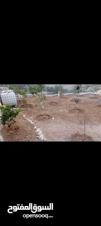 قطعة ارض معمرة وجاهزة .سعر لقطة