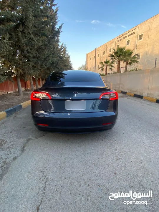 تيسلا مودل 3 استاندر بلس حره 2021 كاش او اقساط