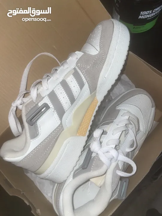 Adidas forum low