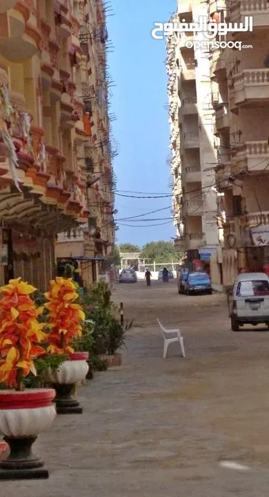 شقة مصيف   في العجمي بالاسكندرية شاطئ فاميلي