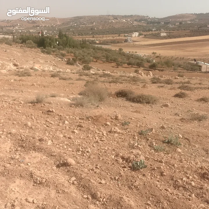 قطعة ارض شرق جرش مرويه من بئر ارتوازي مطله ومرتفعه بسعر مغري متوفر أكثر من 50 قطعه في نفس المنطقه