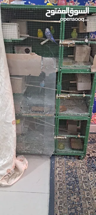 Big used cage