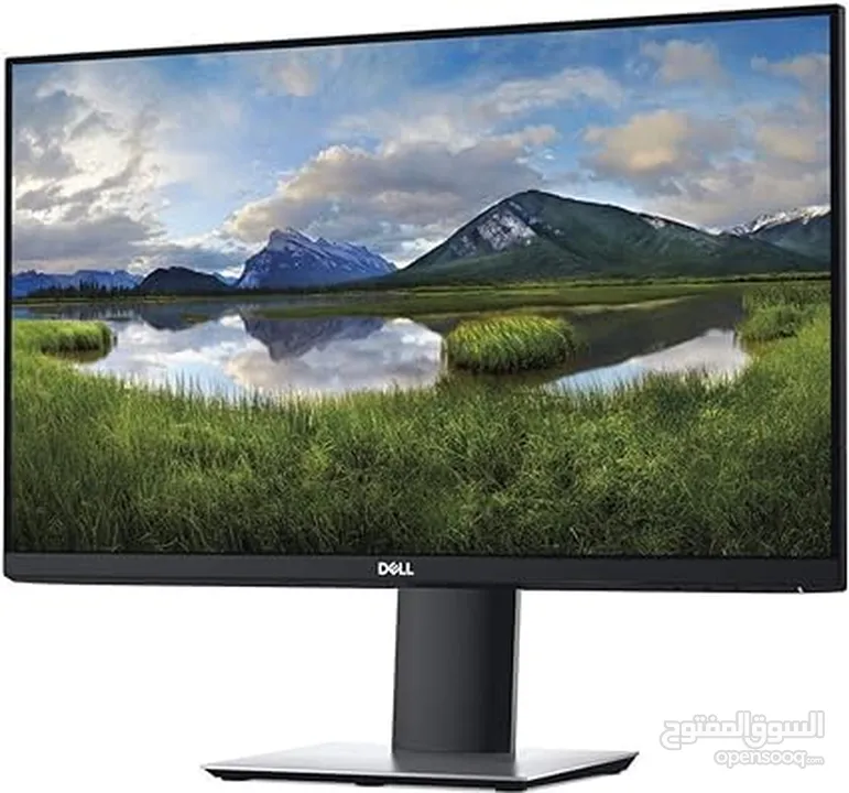 Dell 24 inch Monitor