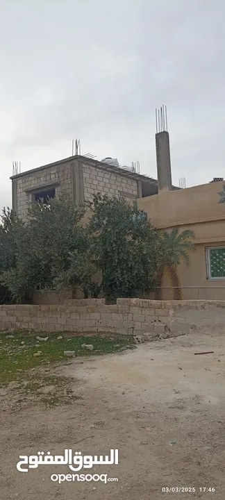 بيت للبيع م