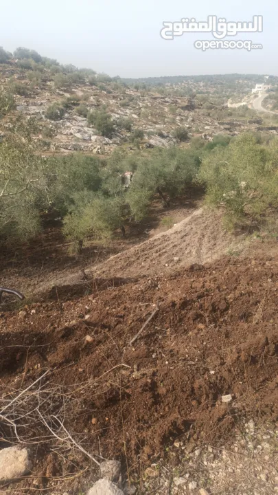 القبة الذهبية اراضي بلعا دير الغصون