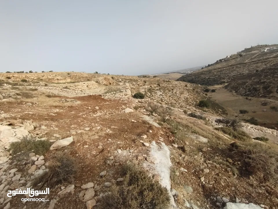 ارض للبيع.