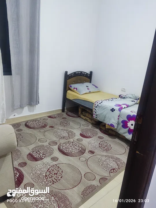 شقه جميله للإيجار اليومي