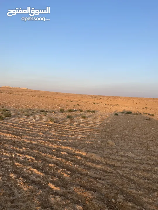 ارض زراعيه للبيع في طريق استوراد المفرق قرب مصنع الراجحي