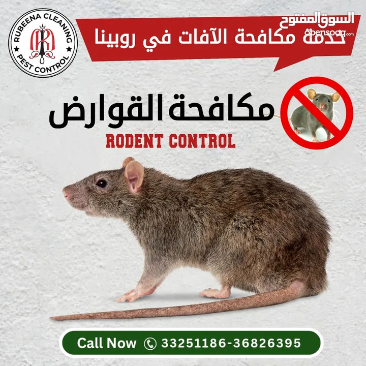 Book your service rubeena pest control special offers just only 18 BD