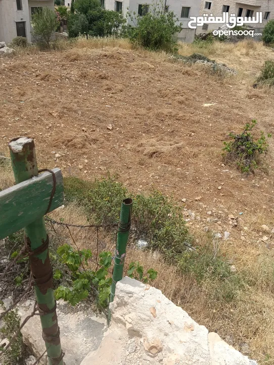 نمرة ممتازة جداا