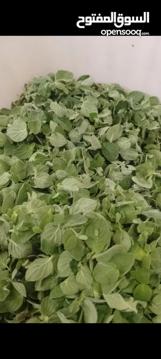 طبخ ومونة البيت من عنا