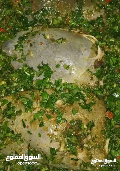 ام عدي للطبخات المنزليه كرش فوارغ روس طحل كبه ورق عنب منسف مسخن ششبرك شو مابخطر عبالك