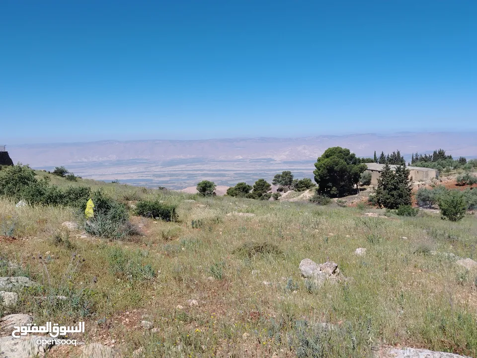 2300 م السلط المغاريب قطعة ملوكية تصلح ل فيلا او مزرعة اطلالة ع الغرب و جبال فلسطين