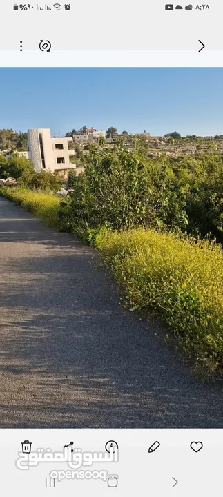 ارض للبيع اخر بيرزيت اول برهام للبيناء