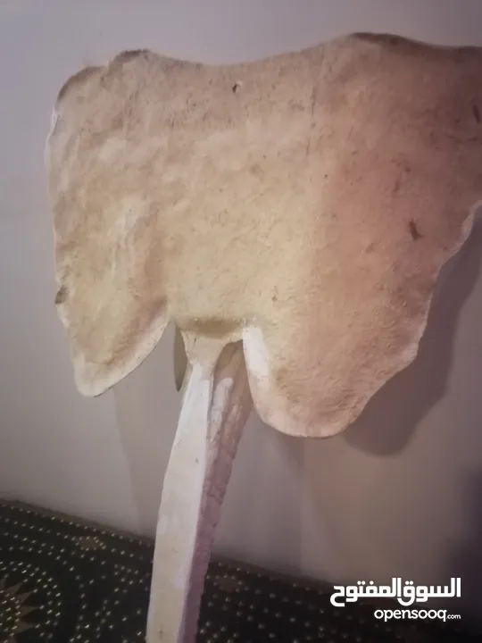 مجسم كبير ل رأس الفيل