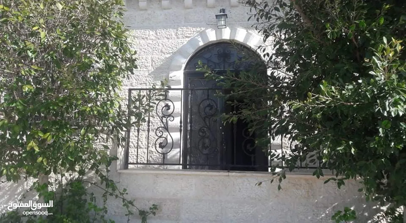 سليم علي سليم