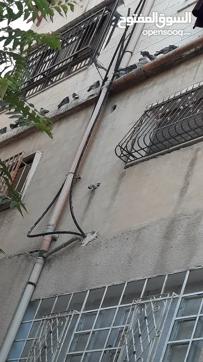 سكنة للايجار