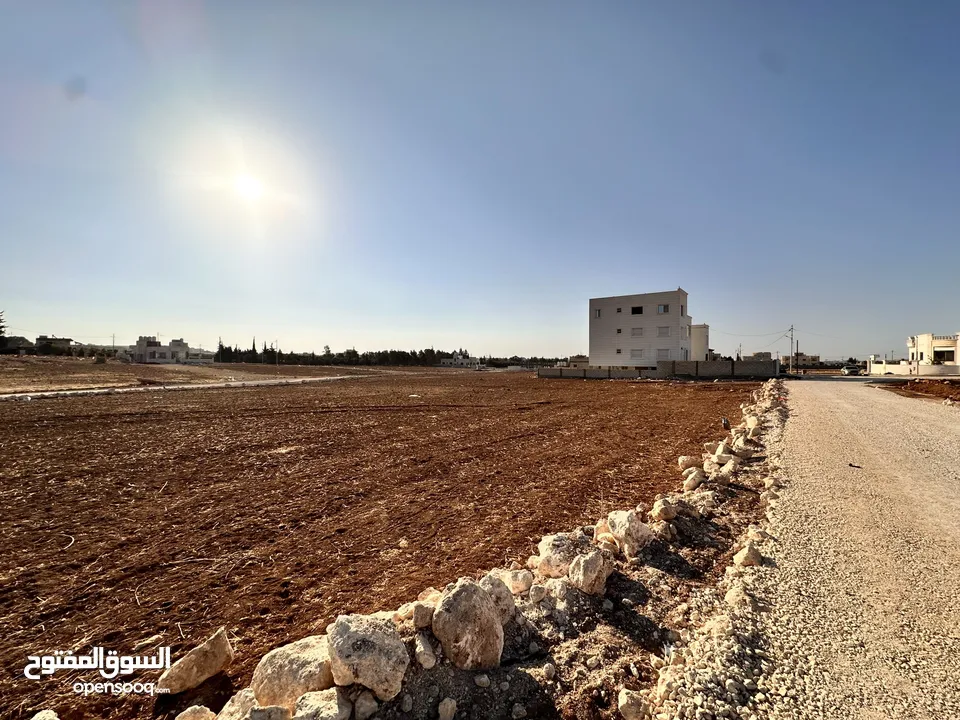ارض مميزة بسعر مغري اليادودة الفريط