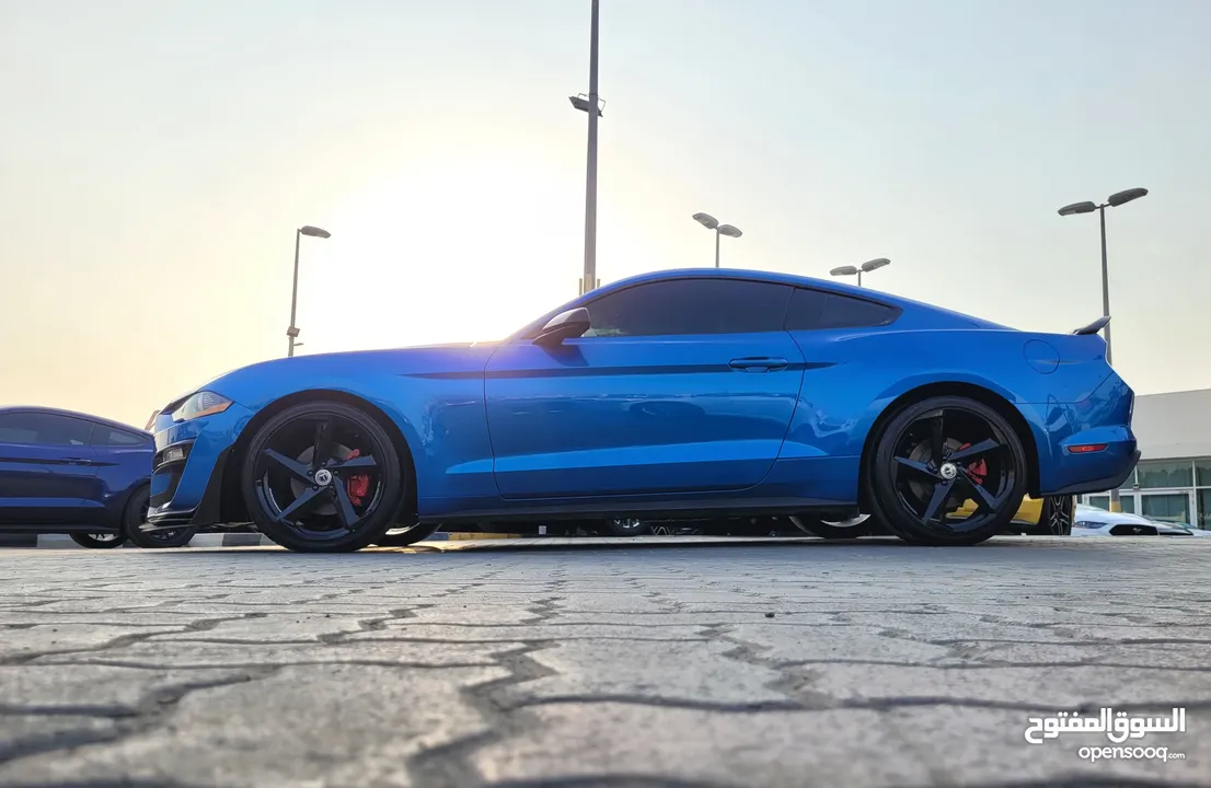 FORD MUSTANG ECOBOOST 2019 SHELBY KIT