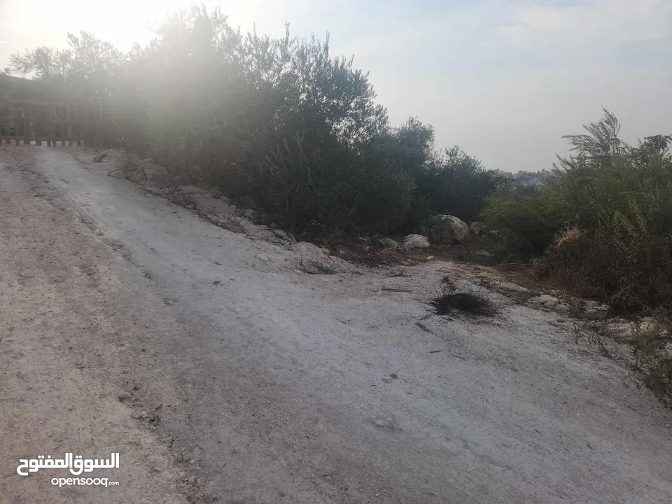 حصة 700 متر بالمسقوفة