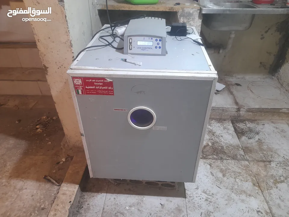 مطلوب فقاسه 170 نوع إيطالي