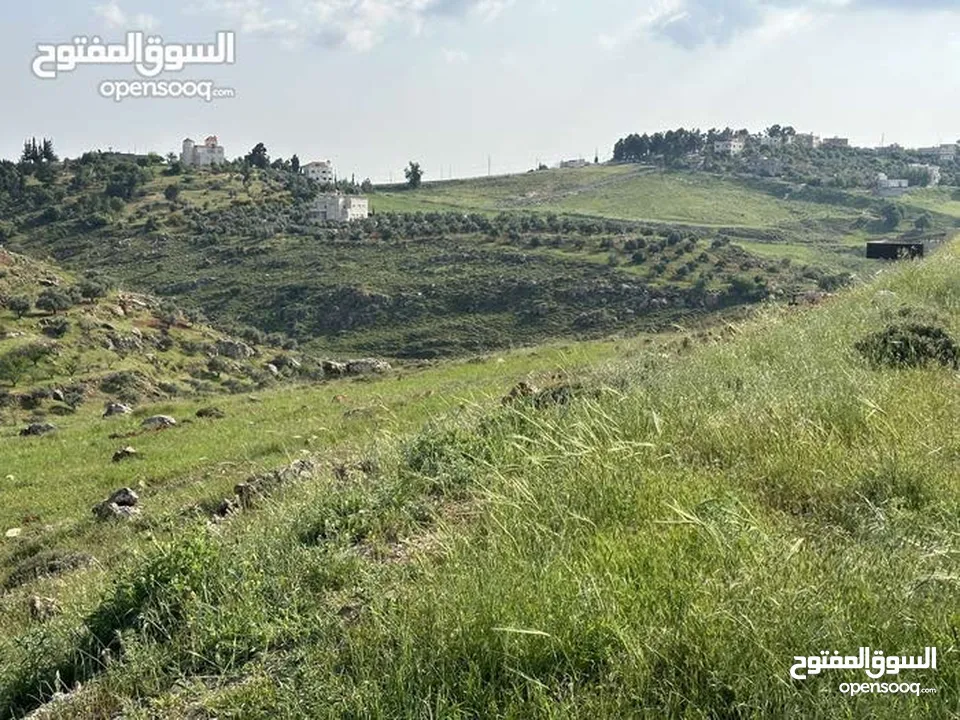 ارض 675 م غرب عمان/مرج الحمام/المشبك.عشارع اسفلت سكن ب 6 د عن دوار شوابكة والمريشد.منطقة خدمات وفلل