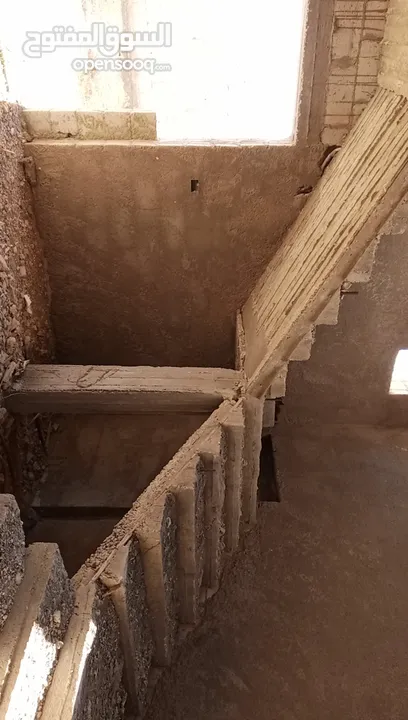 فيله للبيع