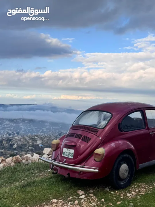 فولكس حبوشيت