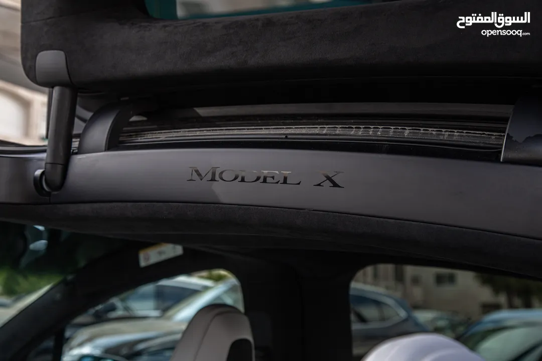 Tesla Model X 100D