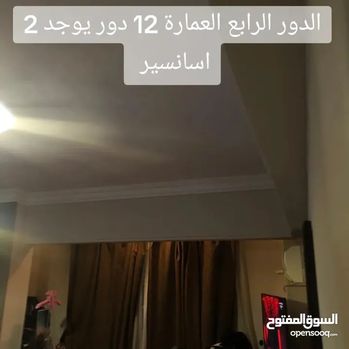 شقة للبيع خلف الحديقة الدولية