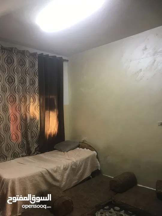 حي ابو بكر