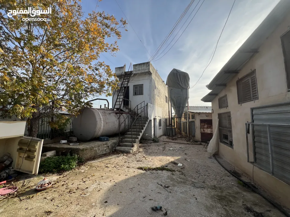 مشروع دواجن متكامل وجاهز للإنتاج – ليس مجرد أرض