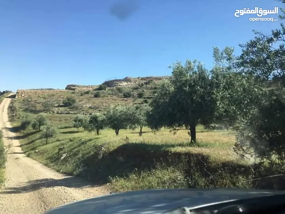 8 دونمات منطقة نادره قرب جرش  وممكن جزء من الثمن سياره
