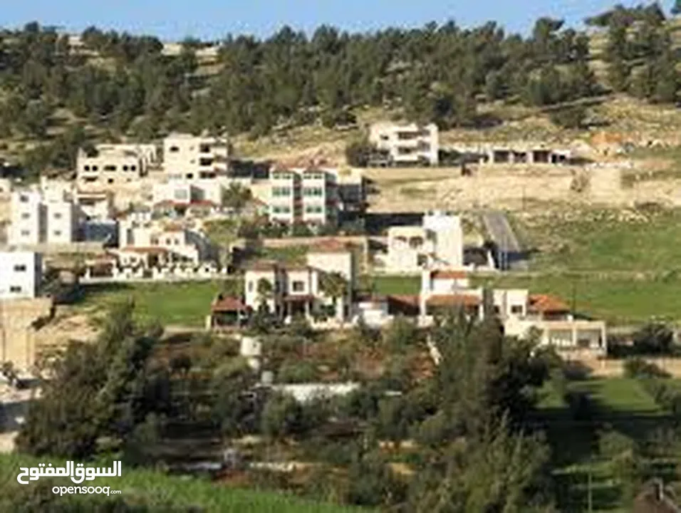 قطعة أرض مساحة 497م في منطقة شفا بدران، حي زينات الربوع