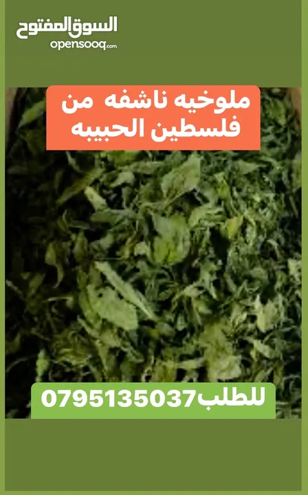 جبنه نابلسيه غنم ومعمول وكعك ودحدح وهريسه وكيك ومكدوس وورق عنب وملوخيه ودبس رمان وخروب  وعسل وزيتون