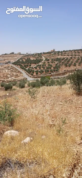 قطعة أرض للبيع من المالك مباشرة بسعر خيالي ناعور / ابو الغزلان مساحة 20دونم