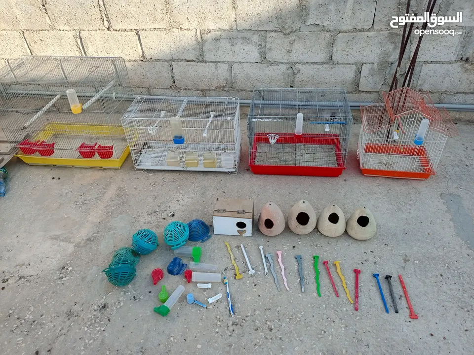 اقفاس عصافير مع أغراض عشوش فخارات اصابع مشارب أقرأ الوصف