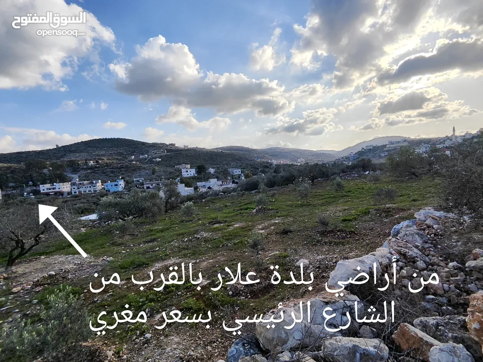 4186 متر كوشان نظيف للبيع بسعر مغري