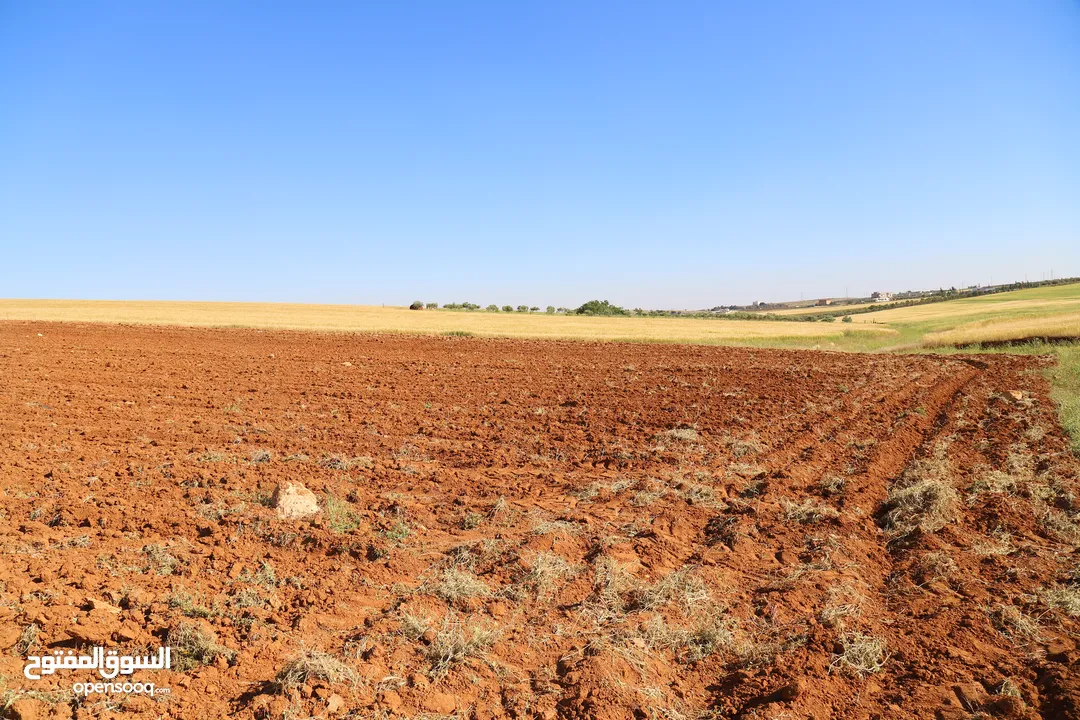 ارض للبيع مادبا ماعين الكريك بمنطقة الفيحاء ارض زراعية مميزة بمنطقة مزارع وفلل مساحتها 3400 م