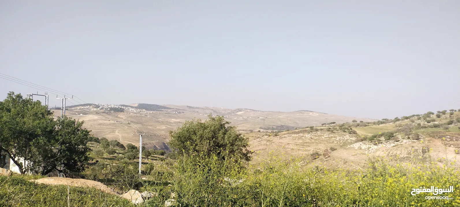 العالوك بيرين